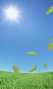 太陽熱利用システム