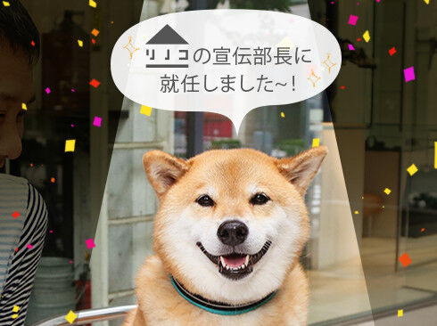 まるちゃん「リノコの宣伝部長に就任しました~!」