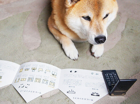 リノコに電話をかけるまるちゃん