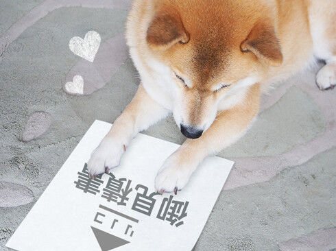 見積書をながめるまるちゃん
