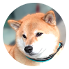 まるちゃん