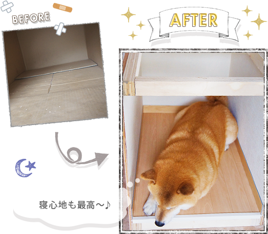 まるちゃんのおうちのビフォー・アフターの様子と、リフォームしたおうちの「寝心地も最高~♪」と喜ぶまるちゃん