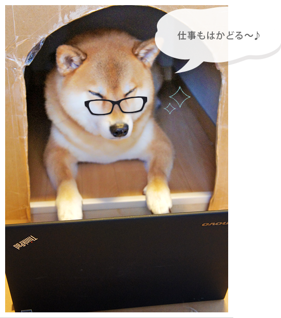 リフォームしたおうちで「仕事もはかどる~♪」とご機嫌なまるちゃん
