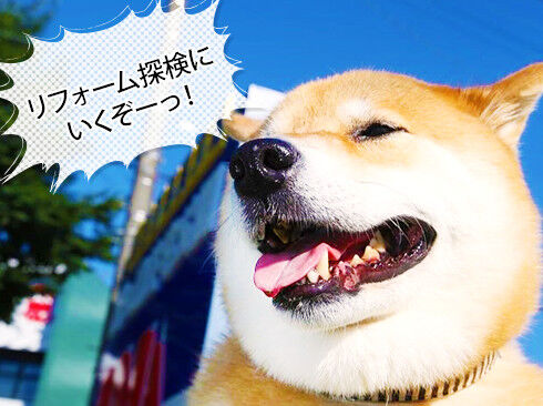 「リフォーム探検にいくぞーっ!」とはりきるまるちゃん