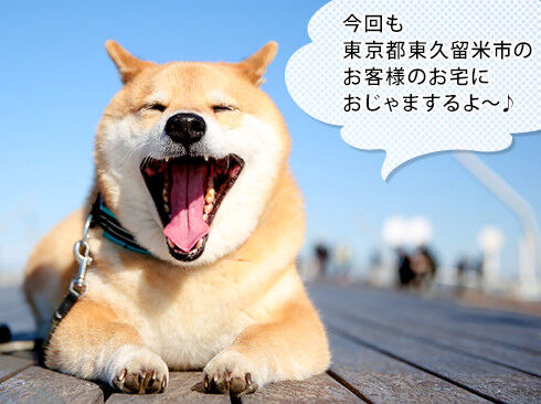 「今日も東京都東久留米市のお客様のお宅におじゃまするよ~♪」と笑顔のまるちゃん