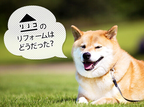 「リノコのリフォームはどうだった?」と質問するまるちゃん