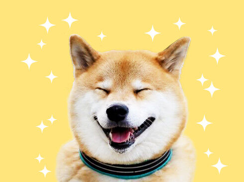 お客様にご満足いただけて嬉しくてきらきらしたまるちゃん