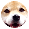 まるちゃんアップ