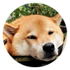 まるちゃん