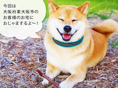 「今日は大阪府東大阪のお客様のお宅におじゃまするよ~♪」と笑顔のまるちゃん
