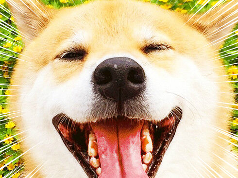 「すごい!」と驚きつつ笑顔のまるちゃん