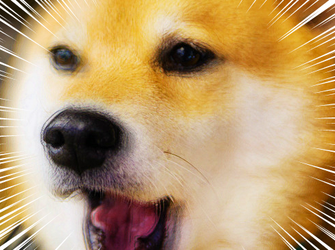 びっくりするまるちゃん