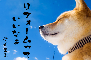 リフォームっていいなぁ 柴犬まる