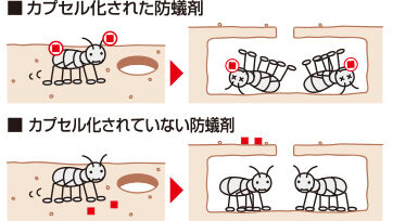 カプセル化された防蟻剤 カプセル化されていない防蟻剤