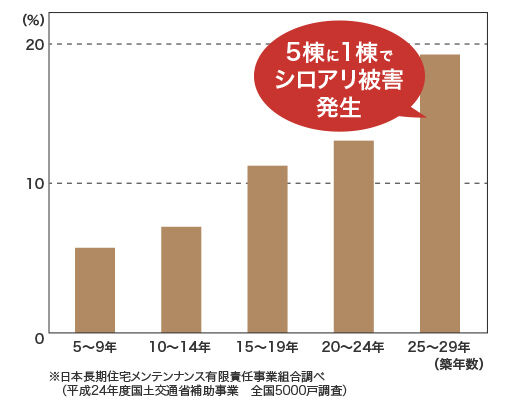 築年数ごとのシロアリ被害発生率