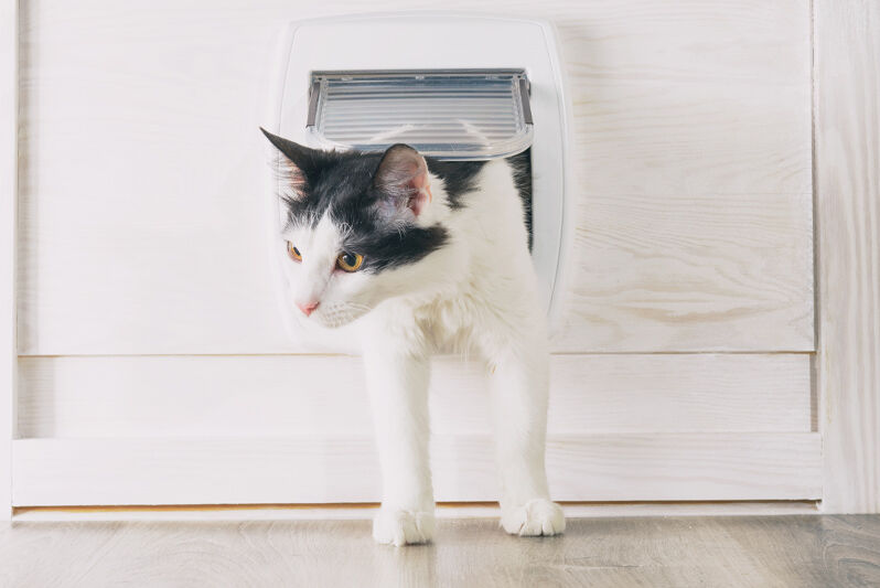 室内猫用ドアのイメージ