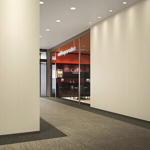 サンゲツ FE-74913